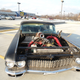 Illustration for article titled PCH: 1964 Coupe DeVille 6.2L Diesel for $1300? YOU CAN MAKE IT HAPPEN.
